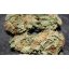 Standardowe nasiona Afghan Haze 18 szt Miło