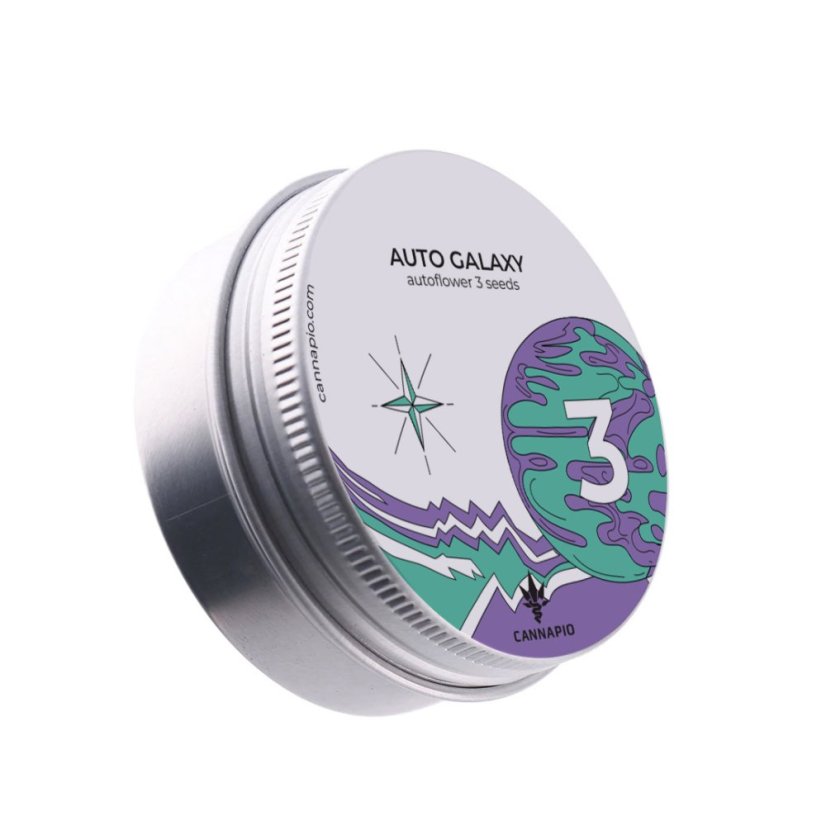Auto Galaxy - nasiona autoflowering 3 szt. Cannapio
