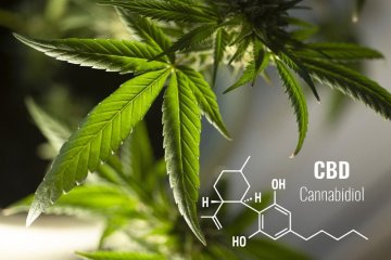 CBD und Zerebralparese