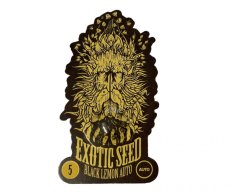 Black Lemon Auto - automatycznie kwitnące nasiona marihuany, 5 sztuk Exotic Seed