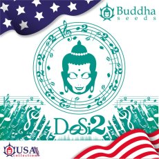 Buddha DoSi2, 3 ks
