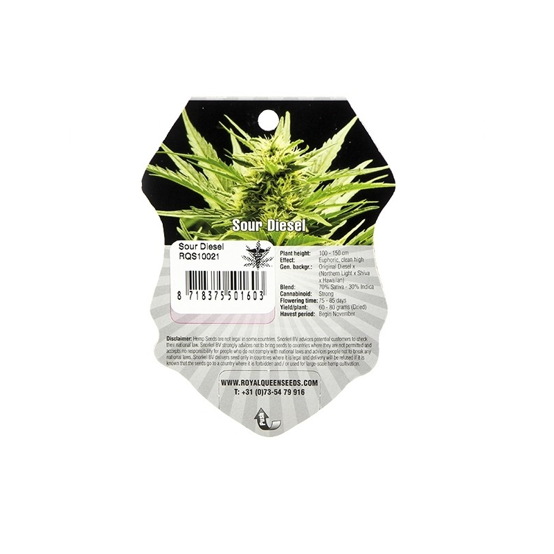 Sour Diesel - feminizovaná semínka 5ks Royal Queen Seeds