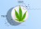 THCP and CBDP: Newly Discovered Cannabinoids