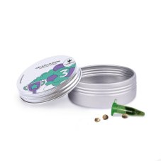 Gelato Fusion - Autoflowering Samen 3 Stück Cannapio