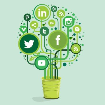 Top 10 Websites über medizinisches Cannabis