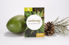 Pink Kush CBD 30:1 autoflowering seeds 5 pcs Seedsman