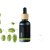 Black glass bottle with wooden pipette containing BIO hop essential oil, surrounded by green hop cones on white background