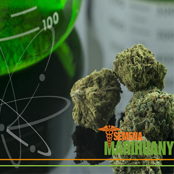 Was ist die richtige CBD-Dosis?
