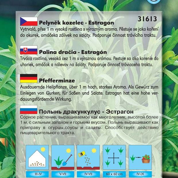 Pelyněk kozelec  Estragon - semínka 0,2 g