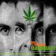 "Cannabis causes schizophrenia" Really?