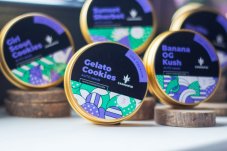 Auto Gelato Cookies - autocvjetajuće sjemenke 5 kom Cannapio