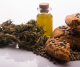 The 7 most common condition that cannabis cures immediately