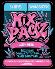 MIX PACKZ Auto Hybrid, samonakvétací semena, 33 ks