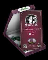 Sensi Purple Kush - Feminizované semienka konope 3 ks, Sensi Seeds