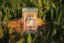 Orange Bud Diesel - feminizované semená 10 ks Fair Seeds