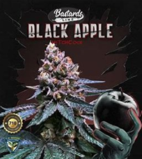 T.H. Seeds Black Apple Hitchcock 710 Limited Pack, 7 semien