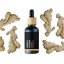 BIO Horský zázvor - 100% prírodný esenciálny olej (10ml) - Pestík