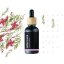 Black glass bottle with wooden stopper containing BIO rose pepper essential oil, surrounded by delicate pink flowers and green branches Black glass bottle with wooden stopper containing BIO rose pepper essential oil, surrounded by delicate pink flowers and green branches