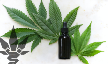 Hanf in Alkohol eingelegt als Balsam, statt Alpen?