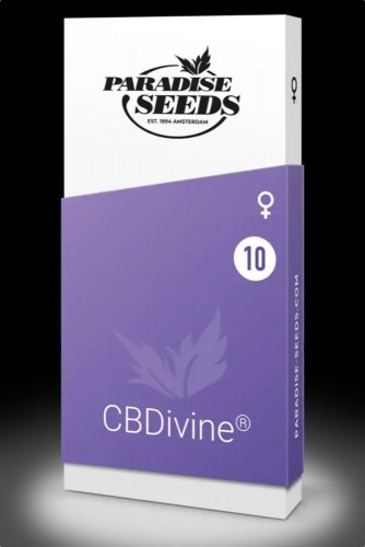 CBDivine - feminizovaná semienka 3ks Paradise Seeds