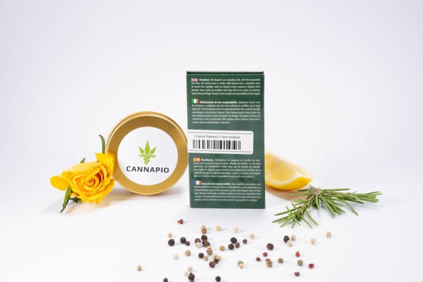 Phantom OG - feminizovaná semená 10 ks Barney's Farms