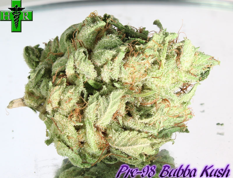 Bubba Kush - feminizovaná semienka 3ks Humboldt
