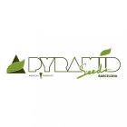 Pyramid Seeds