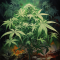 ANATOMY OF A HEMP STICK