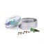 Blue Sky Auto - autoflowering semena 10 ks Cannapio