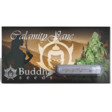 Calamity Jane auto - feminizovaná semínka, 3 ks, Buddha Seeds