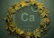 The Influence of Calcium Deficiency on Hemp Plant Growth: Causes and Potential Solutions