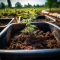 COMPOST TEA OR ORGANIC FERTILIZER FOR CANNABIS