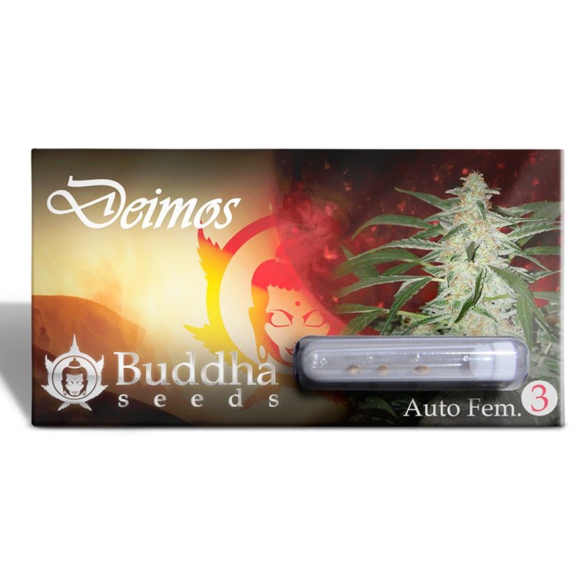 Deimos Auto - feminizované semená, 3 ks, Buddha Seeds