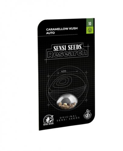 Caramellow Kush Automatic - autoflowering semená konope 5 ks, Sensi Seeds