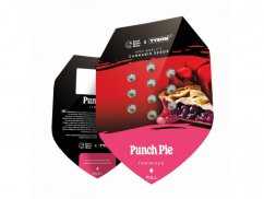 Punch Pie - odmiana feminizowana 3szt Royal Queen Seeds x Mike Tyson