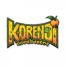 Korenji - feminizovaná semena, 5 ks, Ripper Seeds