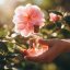 BIO Camellia - 100% natural essential oil 10 ml