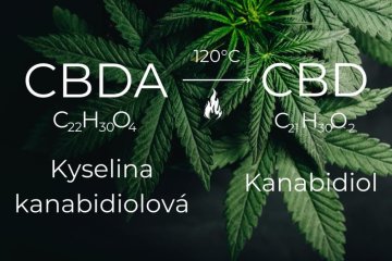 CBDA vs. CBD - Was sind die Unterschiede?