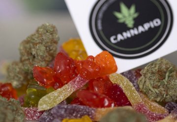 CBD-Gelee: Was ist das?