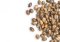 The difference in germination of dark and white hemp seeds