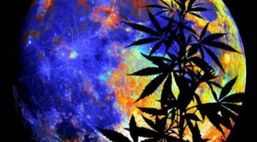 A new study shows that cannabis can improve night vision