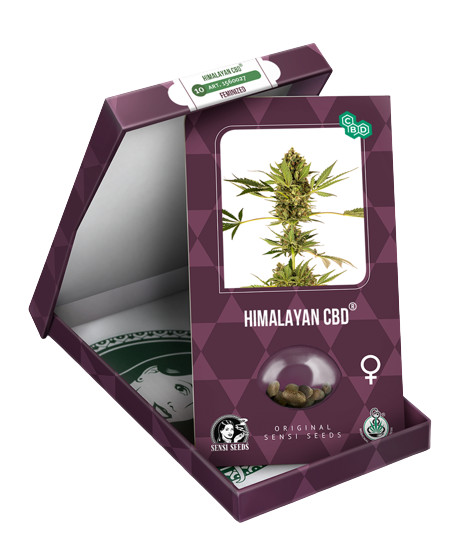 Himalayan CBD - feminizovaná semínka 3 ks Sensi Seeds