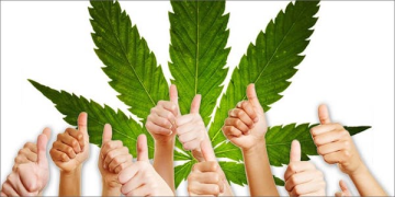 Desatero des Cannabis-Aktivisten - Cannapio