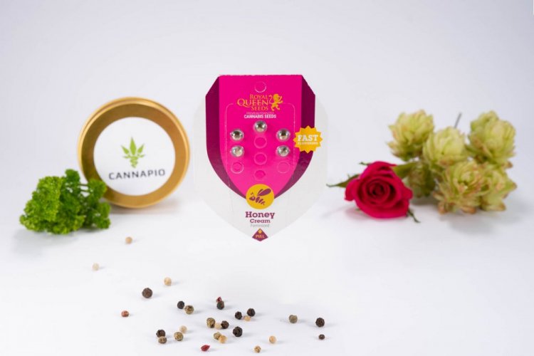 Honey Cream (Fast Flowering) - feminizované semienka 5ks Royal Queen Seeds