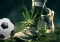 Cannabis in Sports Injuries: Teammate or Opponent?