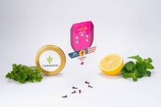 Cookies Gelato - feminizirane sjemenke 5 kom Royal Queen Seeds