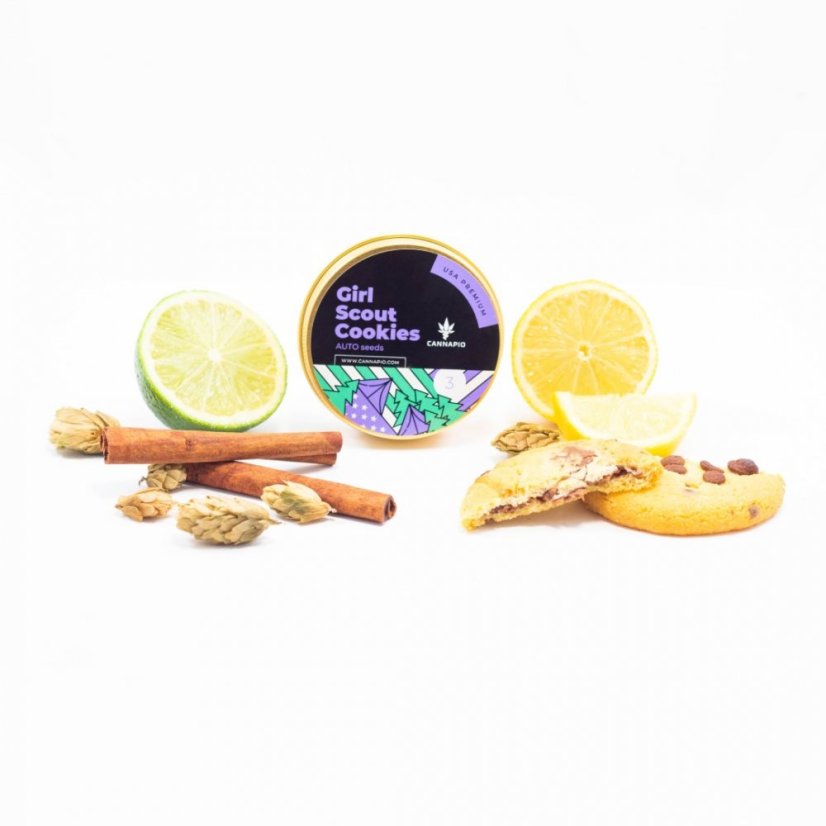 Auto Girl Scout Cookies - semillas autoflorecientes 3 uds Cannapio