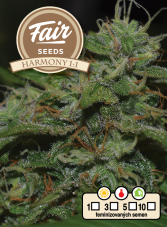 Fair Seeds Harmony 1:1 feminizovaná semena