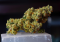 Big Bud – Cannabis with Large Buds and Pungent Aroma