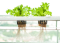 Top Hydroponic Technologies